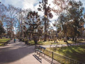 devoto-plaza