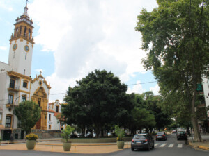 saavedra plaza